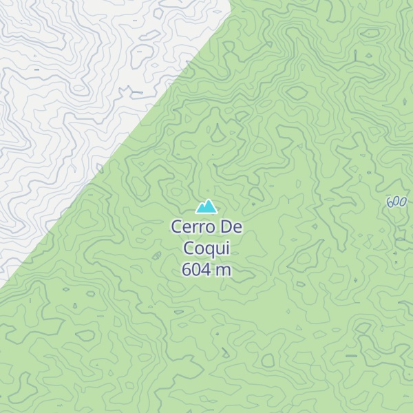 Map of Cerro De Coqui