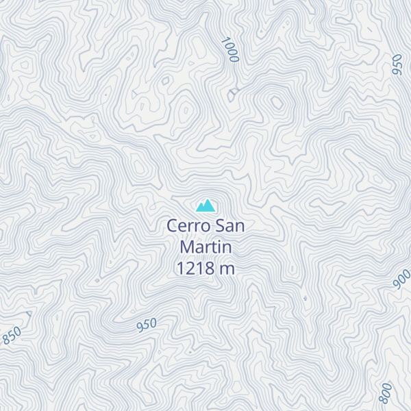 Map of Cerro San Martin