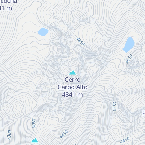 Map of Cerro Carpo Alto