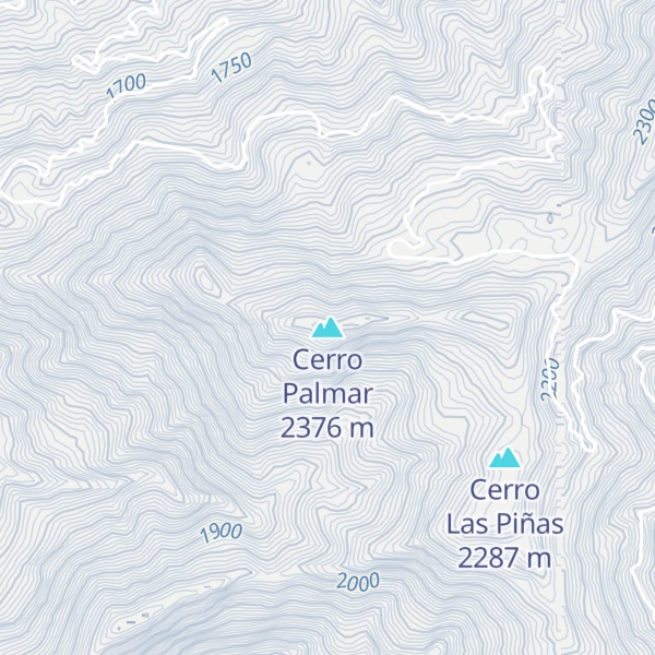 Map of Cerro Palmar