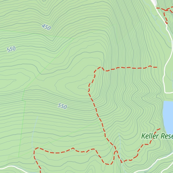Map of Bald Eagle Mtn 2080