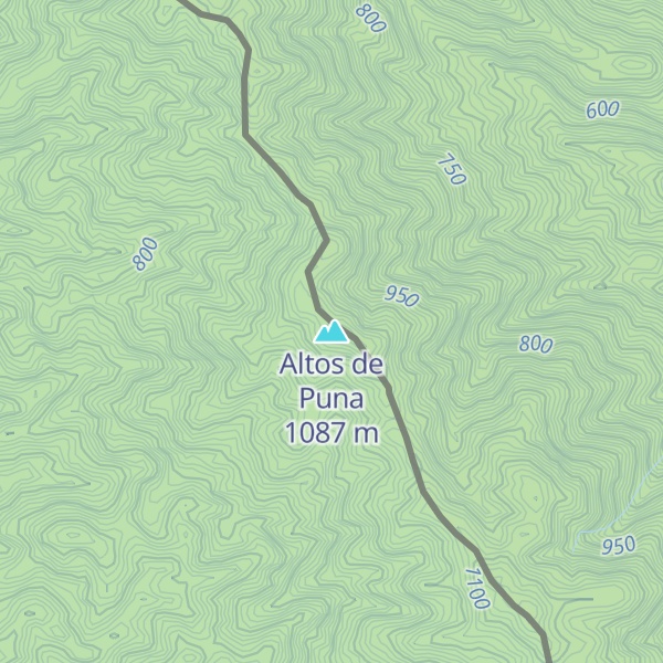 Map of Altos de Puna