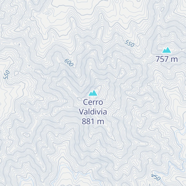 Map of Cerro Valdivia