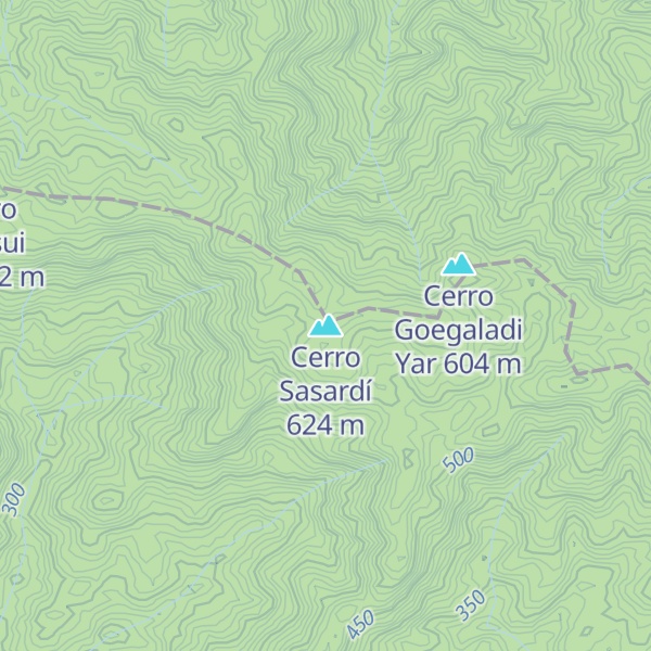 Map of Cerro Sasardí