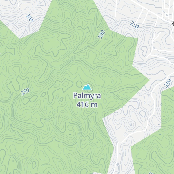 Map of Palmyra