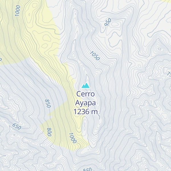 Map of Cerro Ayapa