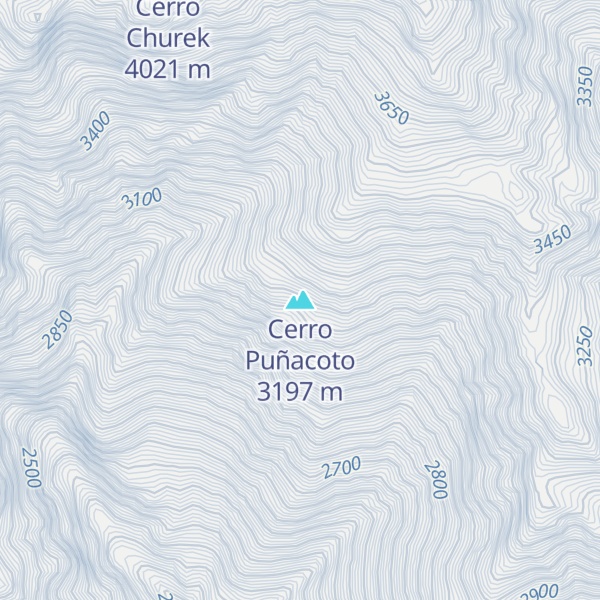 Map of Cerro Puñacoto
