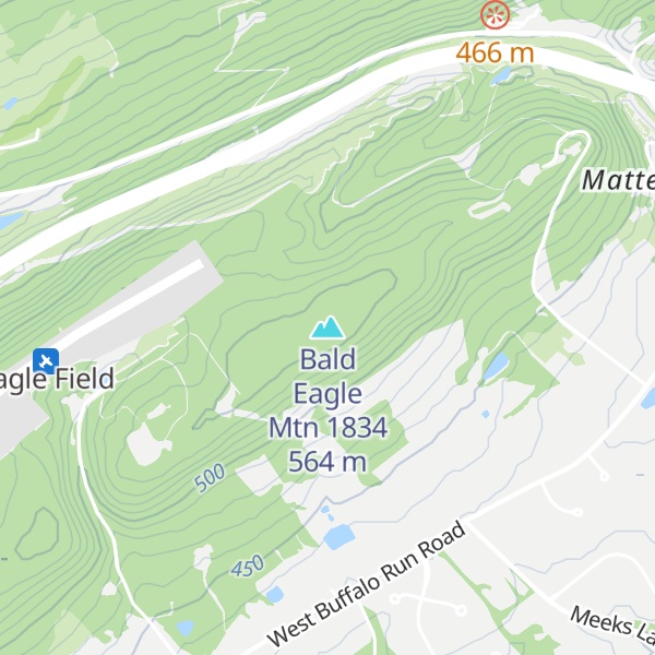 Map of Bald Eagle Mtn 1834