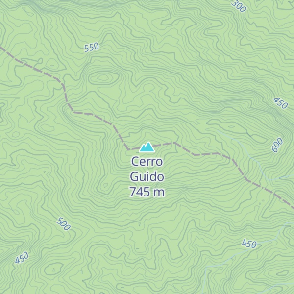 Map of Cerro Guido