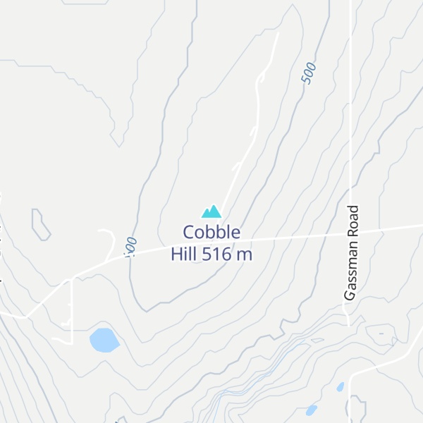 Map of Cobble Hill