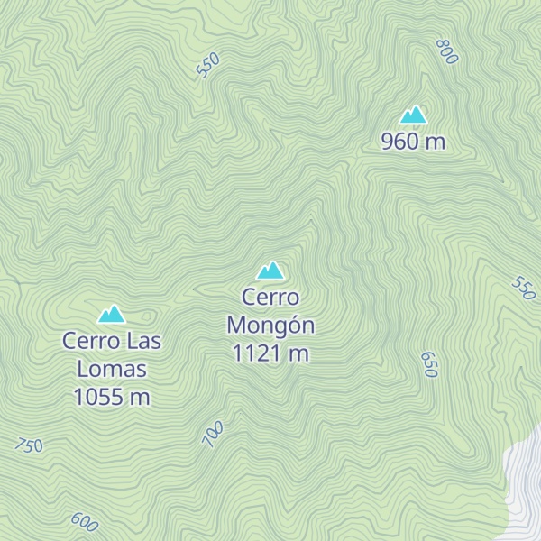 Map of Cerro Mongón