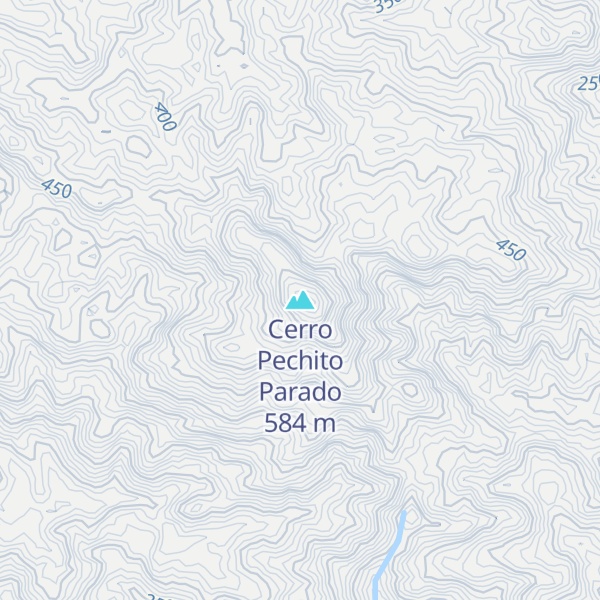 Map of Cerro Pechito Parado