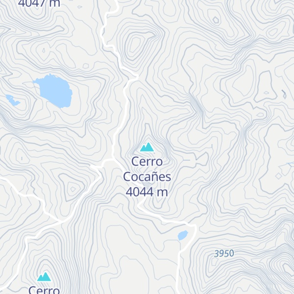 Map of Cerro Cocañes