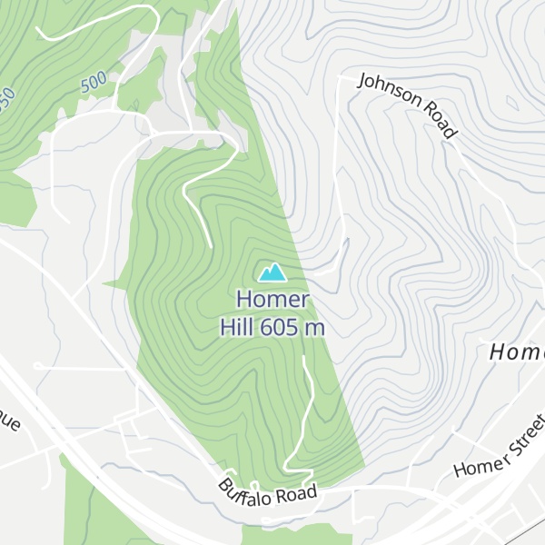 Map of Homer Hill