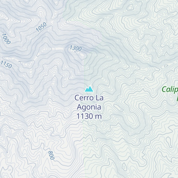 Map of Cerro La Agonia