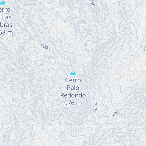 Map of Cerro Palo Redondo