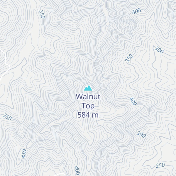 Map of Walnut Top