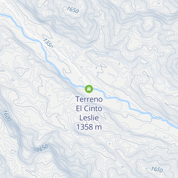 Map of Terreno El Cinto Leslie