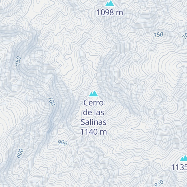 Map of Cerro de las Salinas