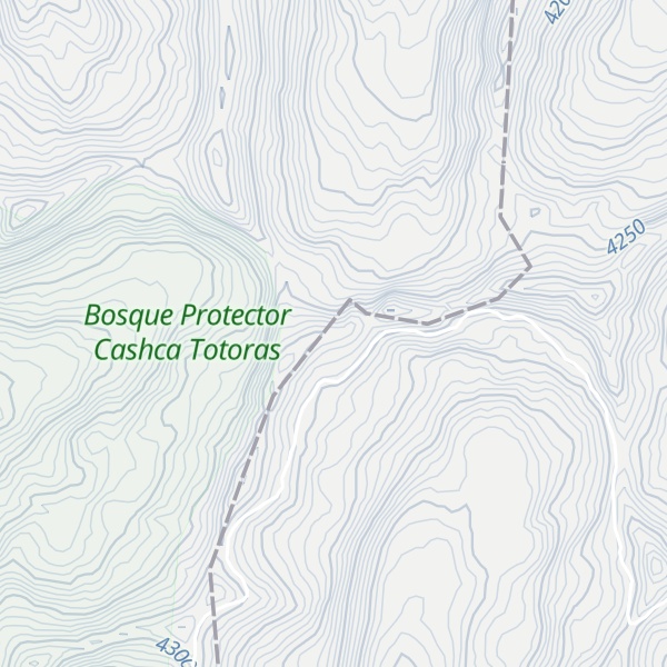 Map of Cerro Puyal