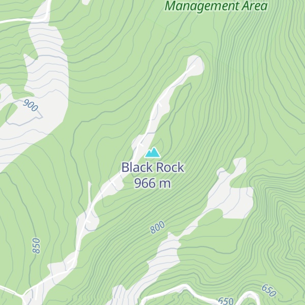 Map of Black Rock