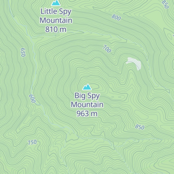 Map of Big Spy Mountain