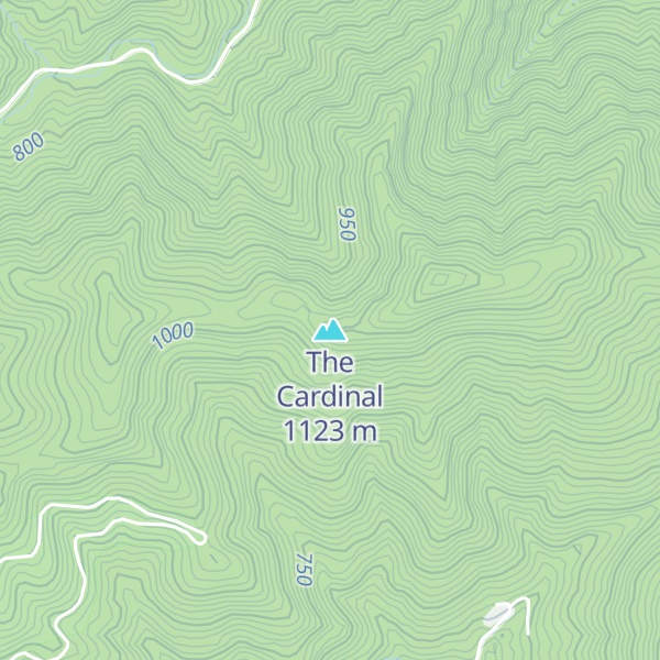 Map of The Cardinal