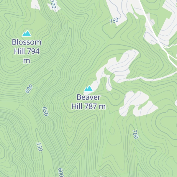 Map of Beaver Hill