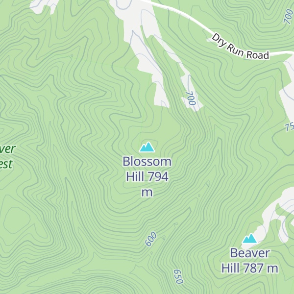 Map of Blossom Hill