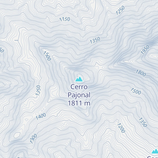 Map of Cerro Pajonal