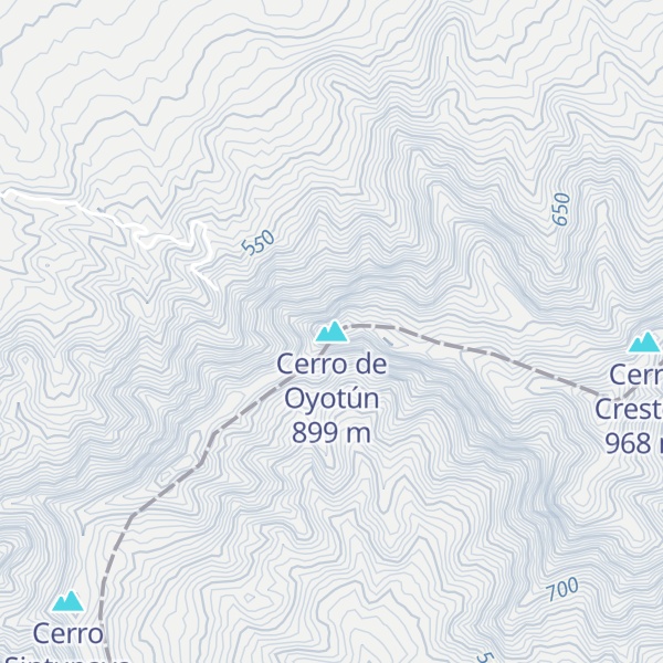 Map of Cerro de Oyotún