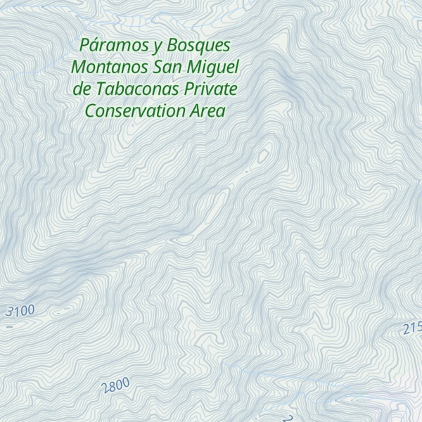 Map of Cerro Punta Negra