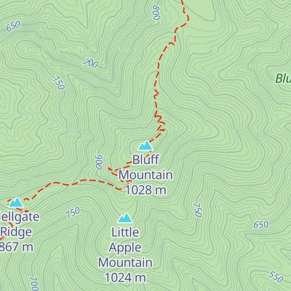 Map of Bluff Mountain