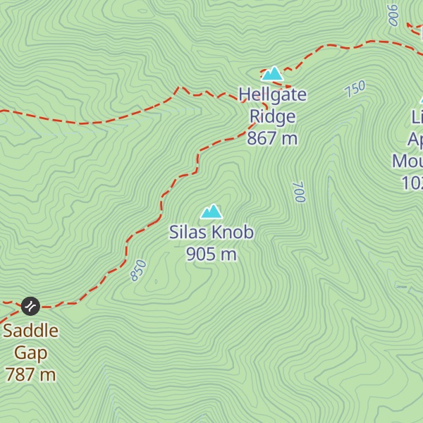 Map of Silas Knob