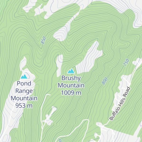 Map of Brushy Mountain