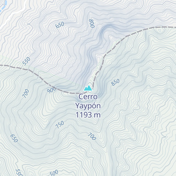 Map of Cerro Yaypón