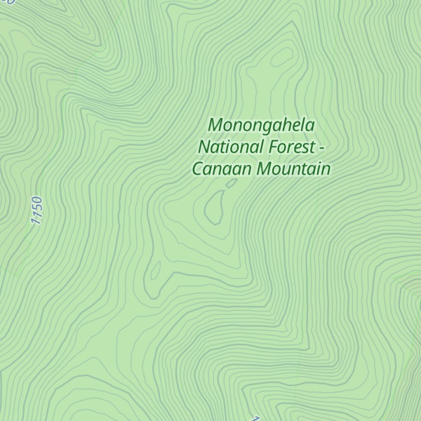 Map of Picea Benchmark