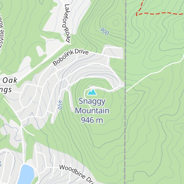 Map of Snaggy Mountain