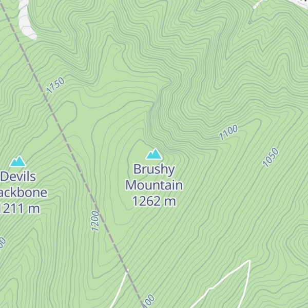 Map of Brushy Mountain