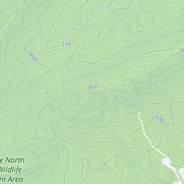 Map of The Loope