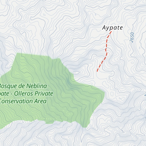 Map of Cerro Aypate