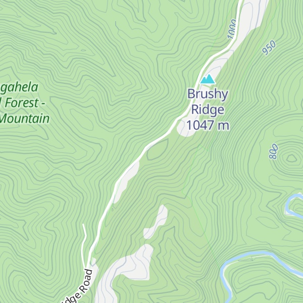 Map of Five Lick Ridge