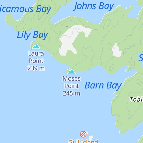 Map of Moses Point