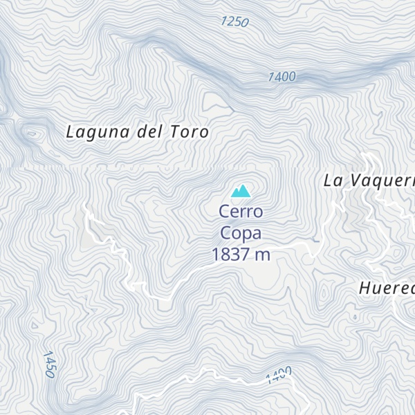 Map of Cerro Loca