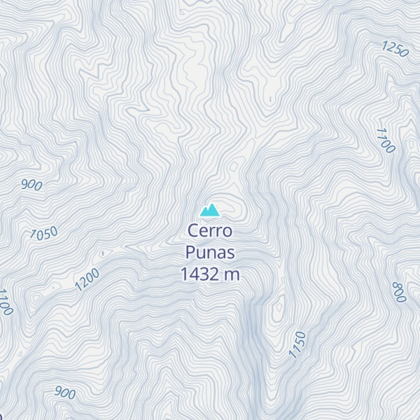Map of Cerro Punas