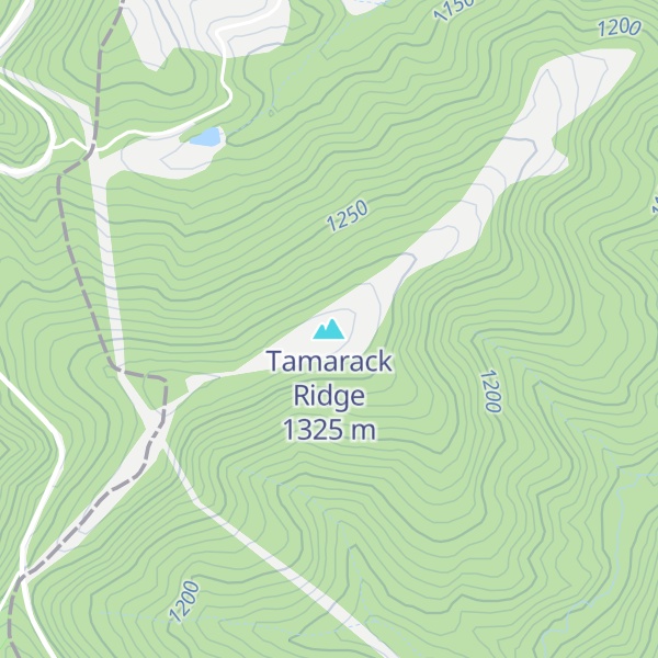 Map of Tamarack Ridge