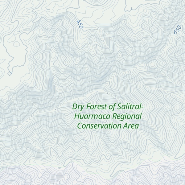 Map of Cerro Dominguillo