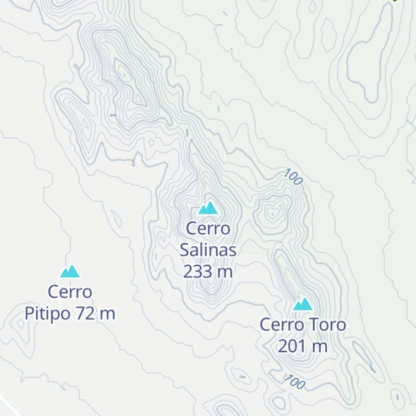 Map of Cerro Salinas