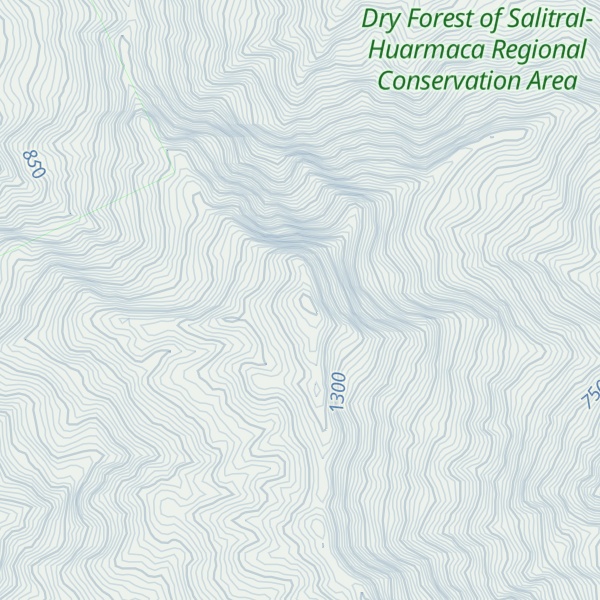 Map of Cerro Pasmarán