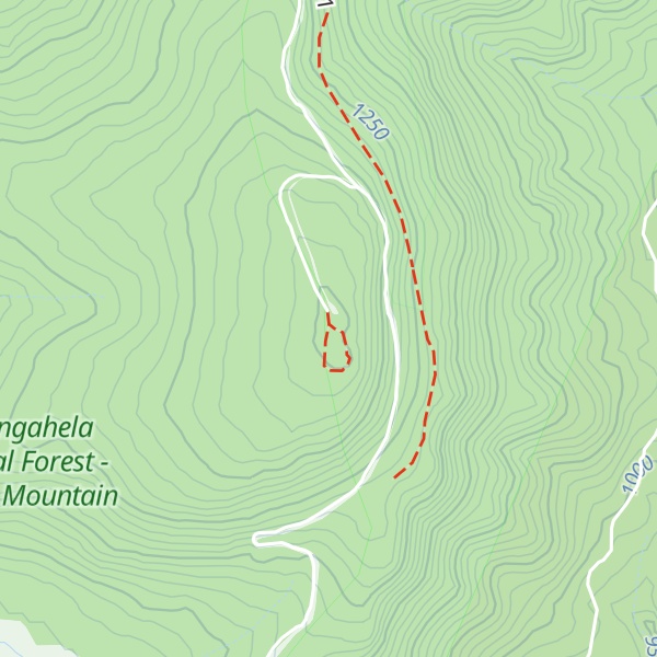 Map of Gaudineer Knob